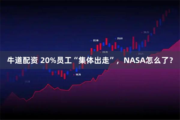 牛道配资 20%员工“集体出走”，NASA怎么了？