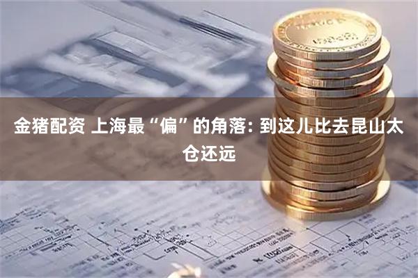 金猪配资 上海最“偏”的角落: 到这儿比去昆山太仓还远