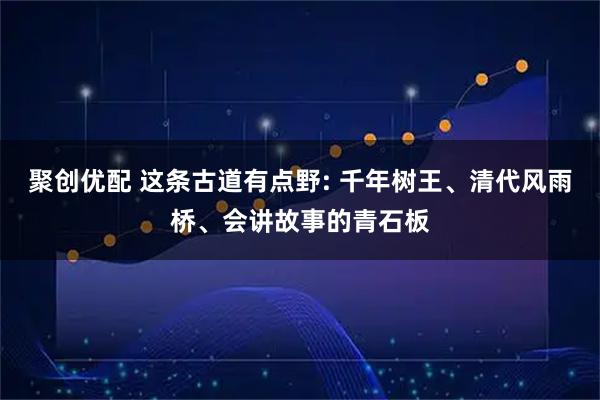 聚创优配 这条古道有点野: 千年树王、清代风雨桥、会讲故事的青石板